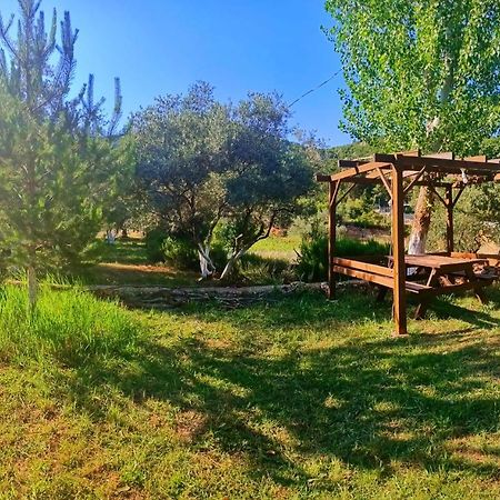 Vita Camping Otel Geyikbayiri Exteriér fotografie