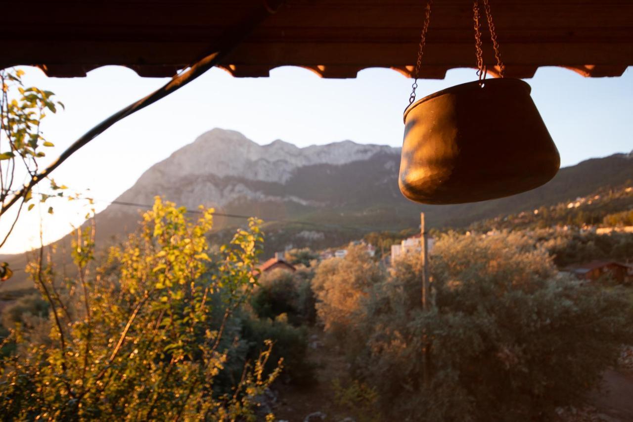 Vita Camping Otel Geyikbayiri Exteriér fotografie